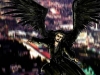 take_to_the_skies