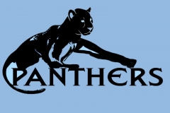 panther-1