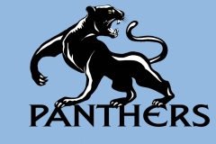 Panther-4