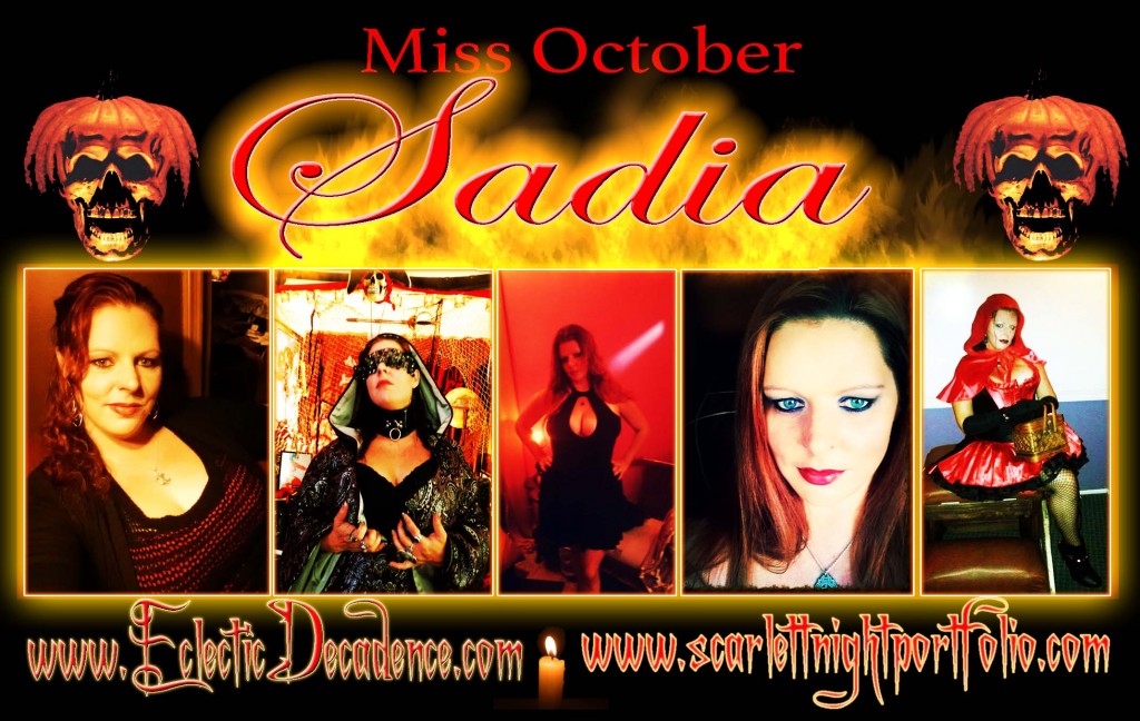 Sadia Banner.